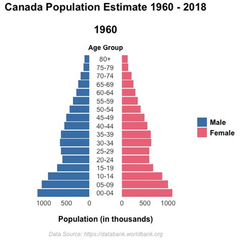 Population Pyramid Animation. A short primer for gganimate in RStudio ...