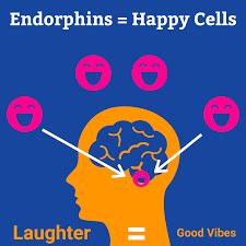 Endorphins: Function, Role, And Expert Tips