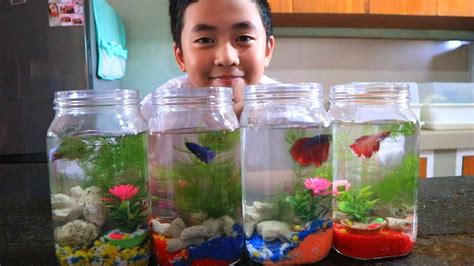 Homemade Betta Fish Tank Decorations | Shelly Lighting