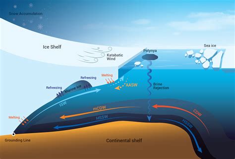 Why Antarctic ice shelves are losing their mass and how it leads to ...