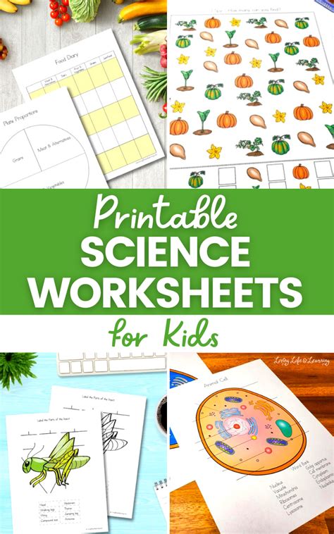 kindergarten science worksheets db excelcom - 10 printable science ...