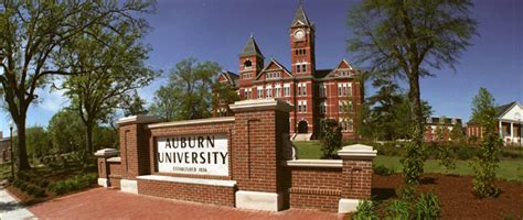 3 Auburn University programs ranked among nation's best by annual ...