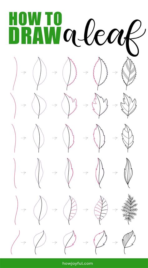 Drawing leaves: How to draw step by step - Doodle a leaf | Flower ...