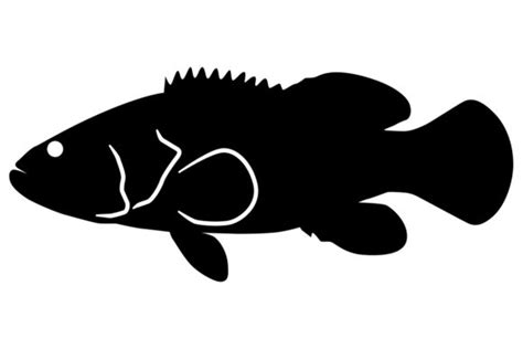 Goliath Grouper Silhouette Graphic by iDrawSilhouettes · Creative Fabrica