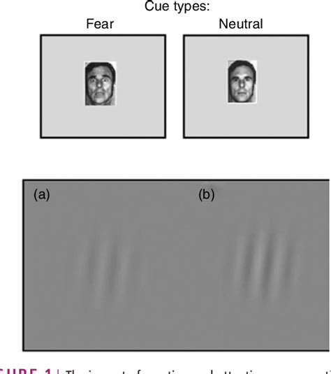 [PDF] Emotion and perception: the role of affective information ...