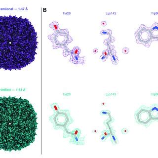 Reconstructions of apoferritin from conventional and revitrified sample ...