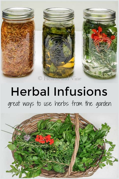 Herbal Infusions - How to Make Infused Oils and Vinegar for Cooking ...