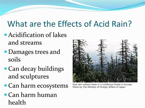 PPT - Acid Rain PowerPoint Presentation, free download - ID:2573706