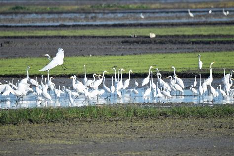 5 Nature Tourist Attractions in Pampanga - Pueblo De Oro