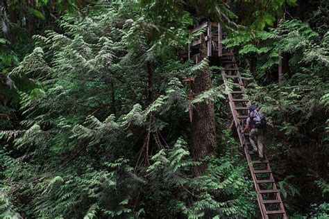 The West Coast Trail: Vancouver Island's Iconic Hike | Switchback Travel