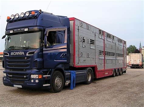 SCANIA R620 V8, mit Großviehtransportauflieger;110512 - Fahrzeugbilder.de