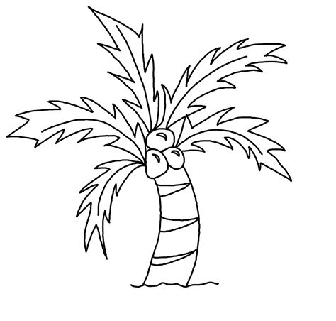 coconut tree easy to draw - Clip Art Library