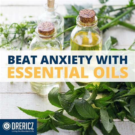 The Best Essential Oils for Anxiety – BayAreaCannabis