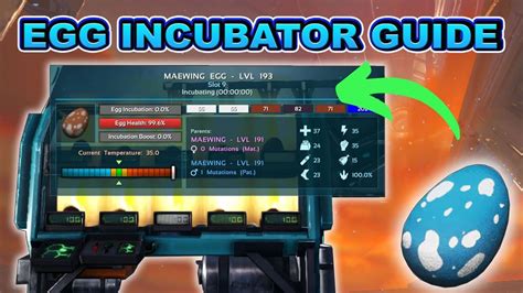 Ark egg incubator level - lopaindustries