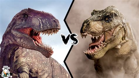 Giganotosaurus VS Tyrannosaurus Rex - Which was the strongest dinosaur ...