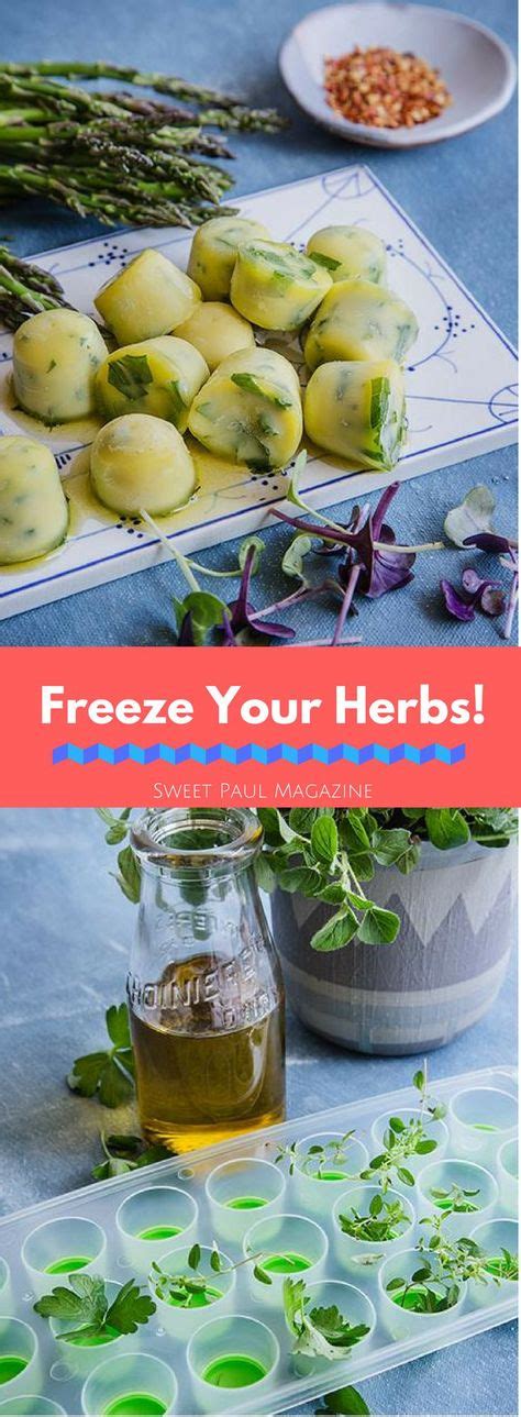 46 Best Fresh Oregano recipes images | Oregano recipes, Food recipes, Fresh