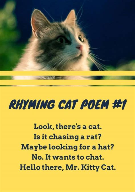 20+ Poems About Cats Funny - SaroashElden