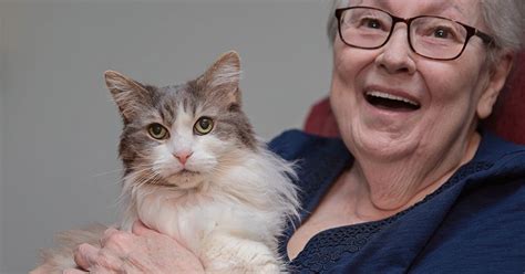 Elderly Woman Adopts Senior Cat | Best Friends Animal Society