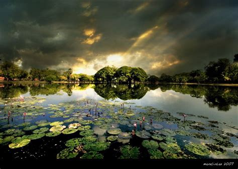 Photography - saturated colour. Photoart! | Paesaggi, Acqua