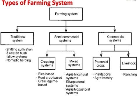 Four Types Of Agriculture