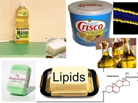 These are some lipids used in daily life. | Macromolecules | Pinterest