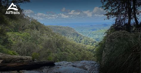 Best Trails near Springbrook, Queensland Australia | AllTrails