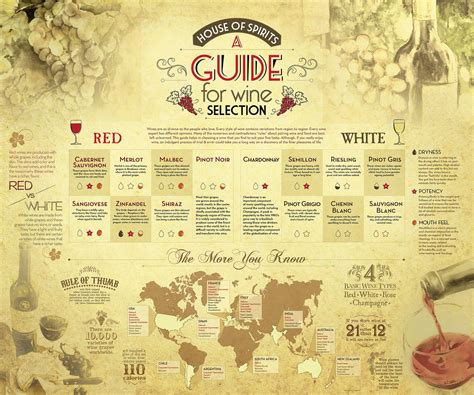 A Guide for Wine Selection (Infographic) by Shubham Bose Roy at ...