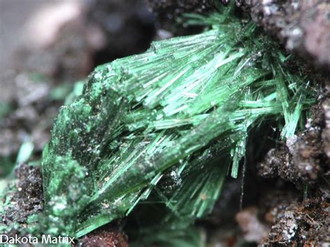 Malachite Mineral Specimen For Sale