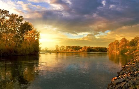 HD wallpaper: sunset over groove, autumn, landscape, nature, golden ...