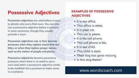 Possessive Adjectives | Definition & Usage | Useful Examples - Word Coach