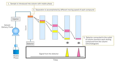 Hplc Chromatogram Analysis