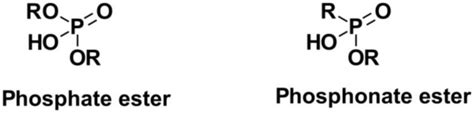 Phosphate ester and phosphonate esters. | Download Scientific Diagram