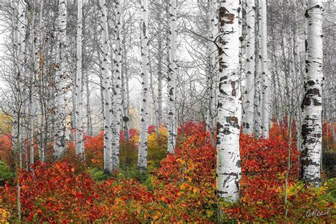 Leavenworth Washington Photography Wall Art | Fine Art Prints By Aaron Reed