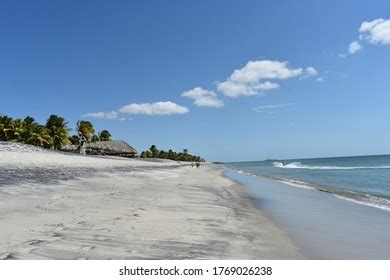 Paradisiacal Tropical Beach Panama Stock Photo 1769026238 | Shutterstock