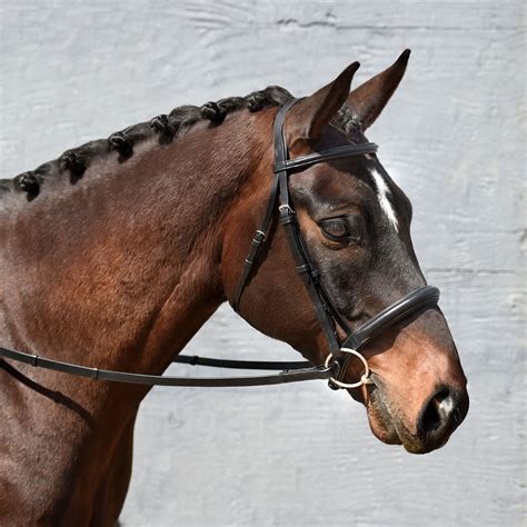 Signature Series Padded Monocrown Dressage Bridle - Bobbys English Tack