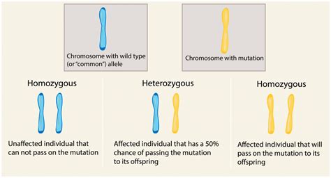 Dominant ~ Introduction to Genetics - Jnetics - mestre-rpg