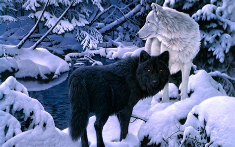 Wolf Wallpaper Backgrounds - WallpaperSafari