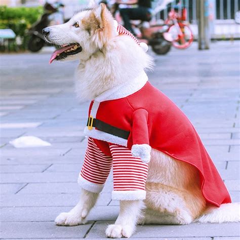 Christmas Dog Costume For Those Special Occasions