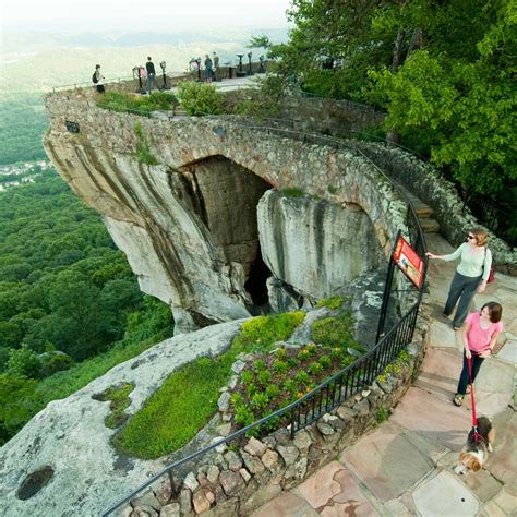 Lookout Mountain | Tennessee travel, Tennessee vacation, Tennessee road ...