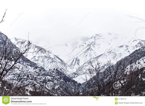 Snow-capped Mountains of the Tian Shan in Winter Stock Image - Image of ...