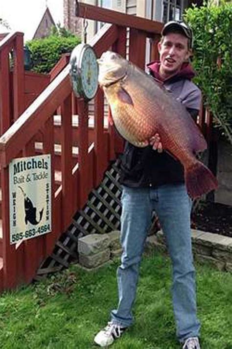 Easy Freshwater Drum Recipes 2023 - AtOnce