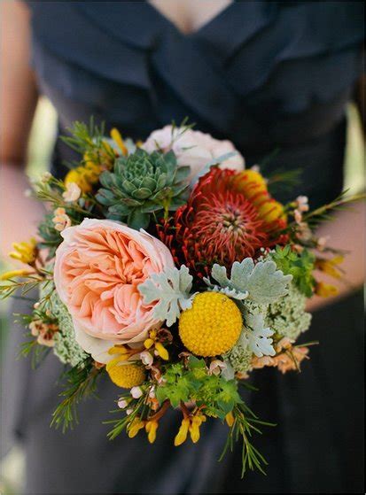 Floral Spotlight...Dusty Miller — Southern Productions Mississippi ...