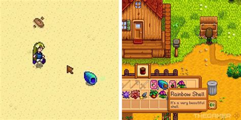 Where To Find Rainbow Shell In Stardew Valley