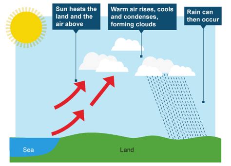 Draw a diagram showing:- a Convectional rainfall b Cyclonic rainfall c ...