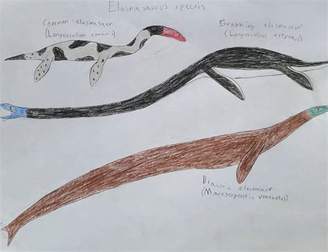 Elasmosaurus species by SpecZooBraydenR on DeviantArt