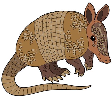 Cartoon Animal - Armadillo - Flat Coloring Style Stock Illustration ...