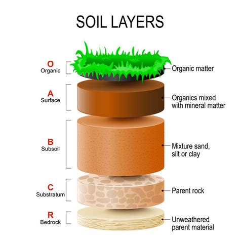 Soil is the thin layer of material covering the earth’s surface