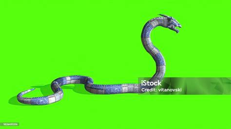 3d Illustration Snake On A Green Screen Background Stock Photo ...