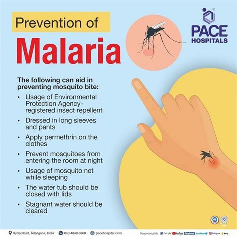 Malaria Symptoms, Causes, Types, Complications Prevention, 51% OFF