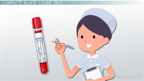 Hematology Test | Overview, Types & Panel - Lesson | Study.com